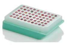 Premade Tissue Microarray Paraffin Blocks by Simport